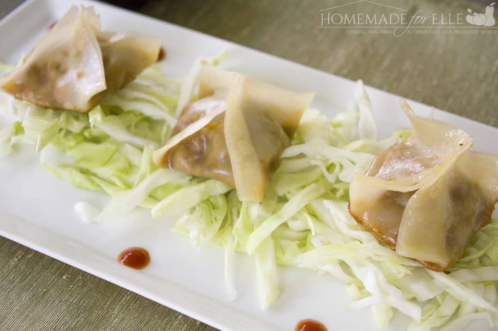 Homemade vegetarian potstickers