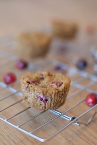 Cranberry Orange Muffins (AIP, Paleo) plus tips on baking with avocado 