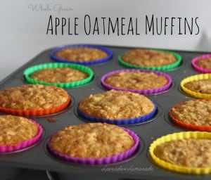 apple oatmeal blog title