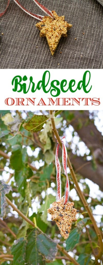 Homemade bird food ornament | homemadeforelle.com