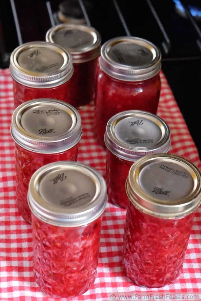 Cranberry Salsa - Homemade Christmas Gifts in a Jar