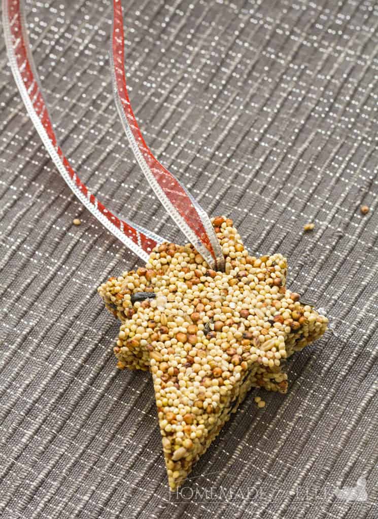 bird food ornament | homemadeforelle.com