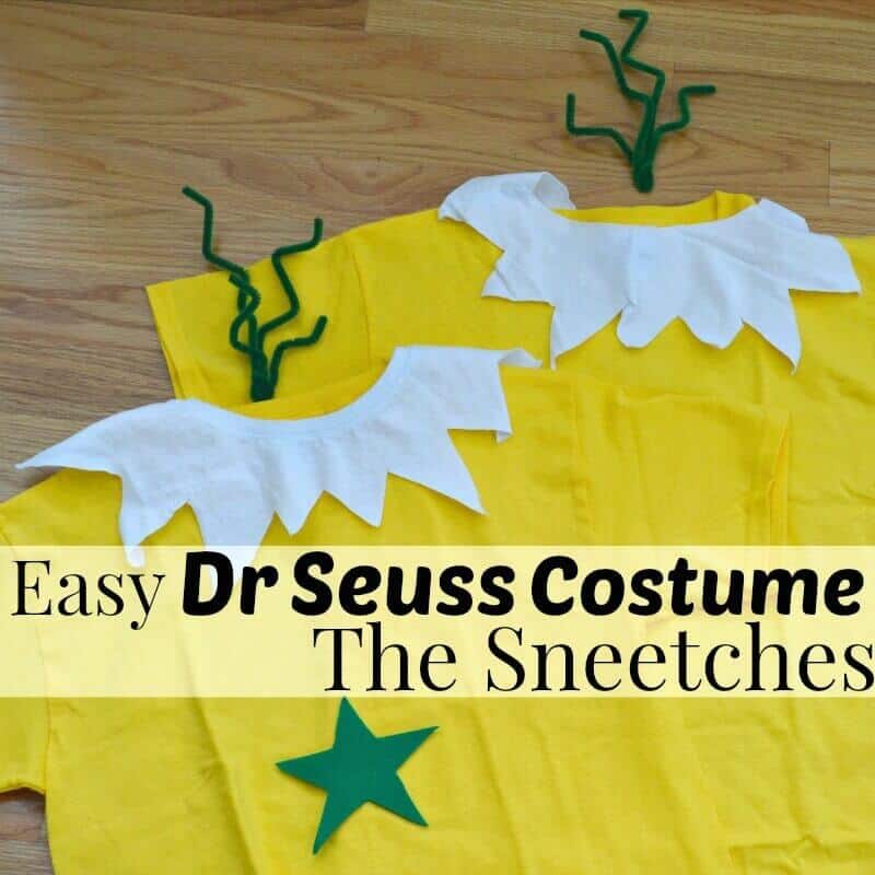 Dr Seuss Sneetches Costume | Organized31.com