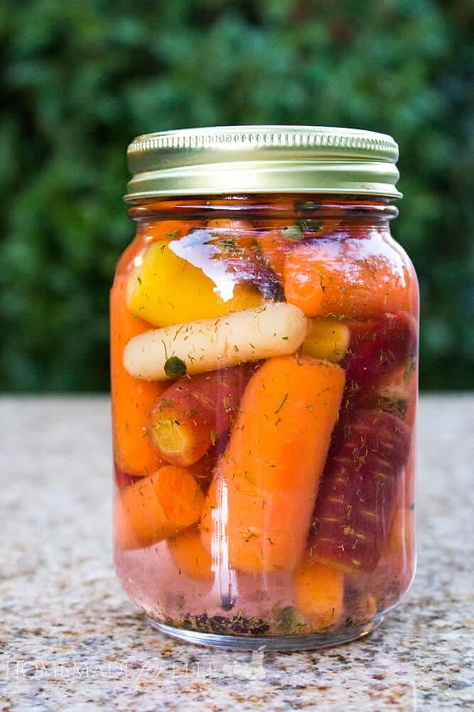 Quick Pickled Dill Carrots | homemadeforelle.com