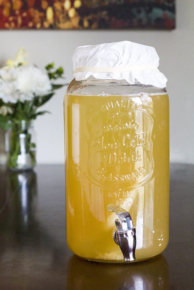 how to brew kombucha at home with natural filter