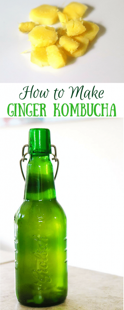 Learn how to make ginger kombucha at home with a simple recipe! 