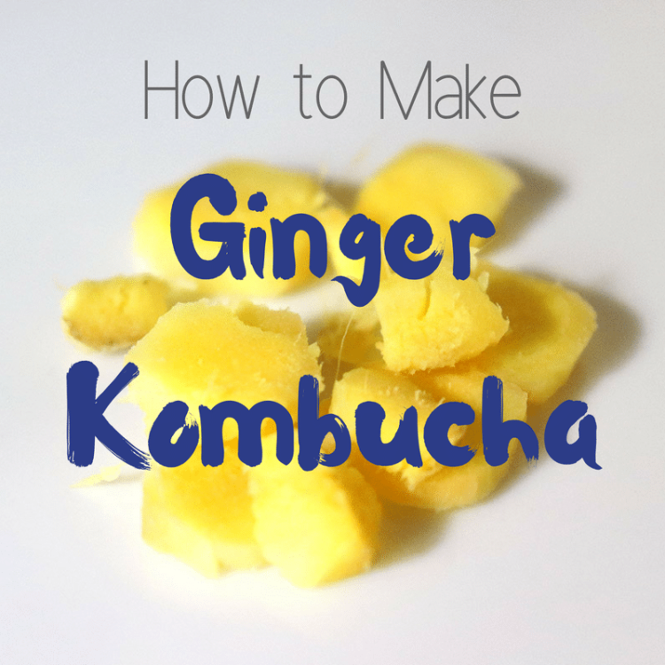 Ginger Kombucha Recipe