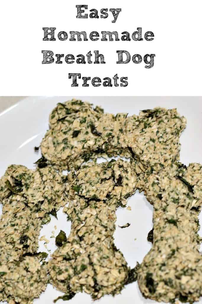 Hjemmelavet Breath Dog Treat opskrift