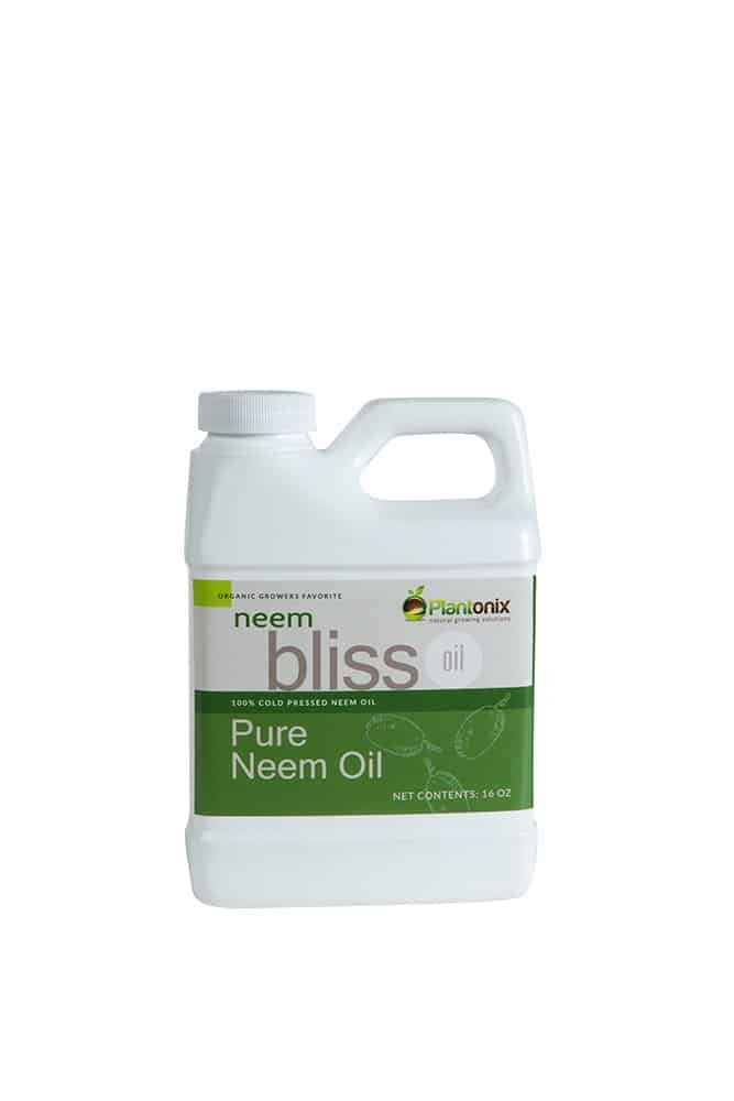 neem bliss pure neem oil