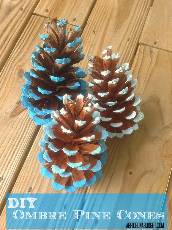 DIY Ombre Pinecones